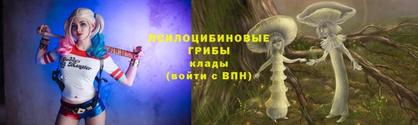амфетамин Богородицк