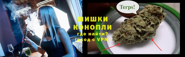 трава Богданович