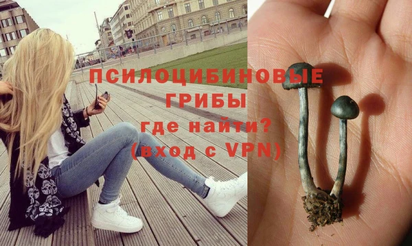 трава Богданович