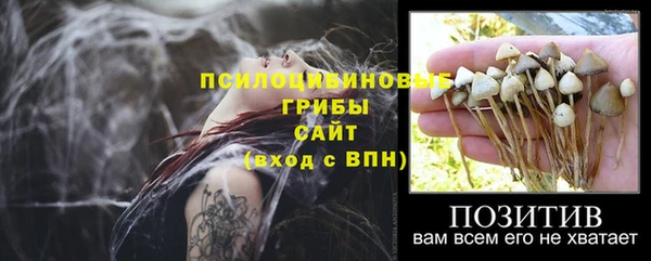 кокаин перу Белокуриха